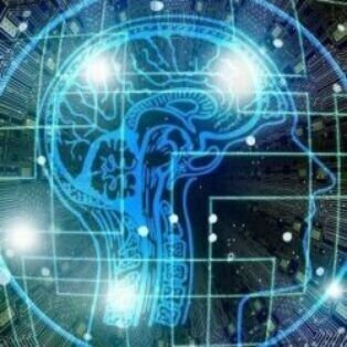 Executive Functioning Assessments