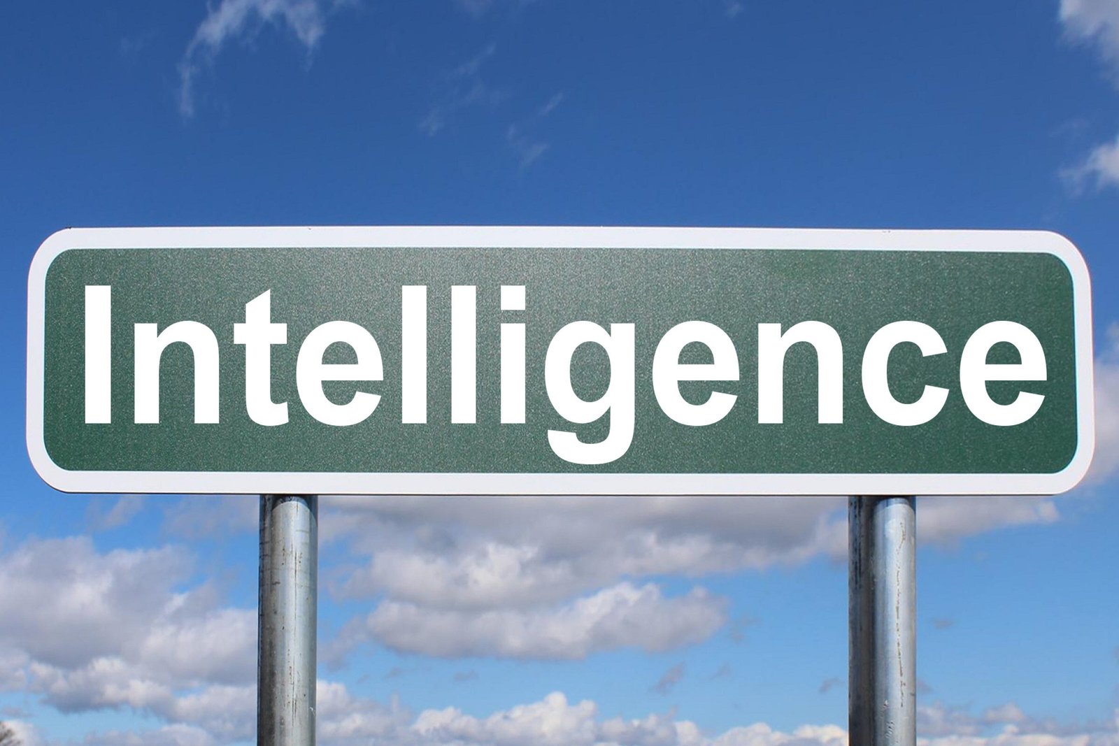 The WAIS Intelligence Test