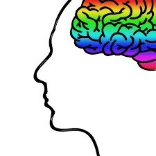 Stanford-Binet Intelligence Scales