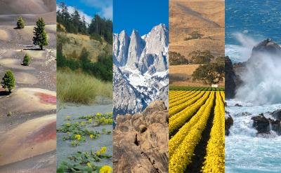 Cali four - Precision Psychological Assessments California psych testing